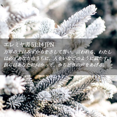 Picture 02 - エレミヤ書 51:14 JPN - 万軍の主はみずからをさして誓い、 - Bible Verse Picture