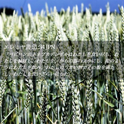 Picture 02 - エレミヤ書 51:34 JPN - 「バビロンの王ネブカデレザルはわ - Bible Verse Picture
