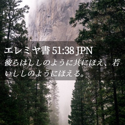 Picture 02 - エレミヤ書 51:38 JPN - 彼らはししのように共にほえ、若い - Bible Verse Picture