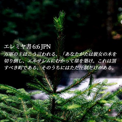 Picture 02 - エレミヤ書 6:6 JPN - 万軍の主はこう言われる、「あなた - Bible Verse Picture