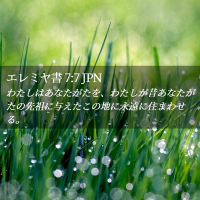 Picture 02 - エレミヤ書 7:7 JPN - わたしはあなたがたを、わたしが昔 - Bible Verse Picture