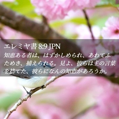Picture 02 - エレミヤ書 8:9 JPN - 知恵ある者は、はずかしめられ、あ - Bible Verse Picture