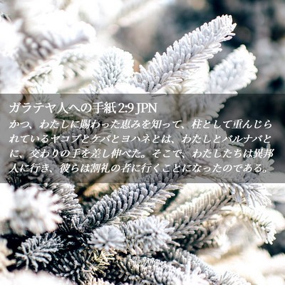 Picture 02 - ガラテヤ人への手紙 2:9 JPN - かつ、わたしに賜わった恵みを知っ - Bible Verse Picture