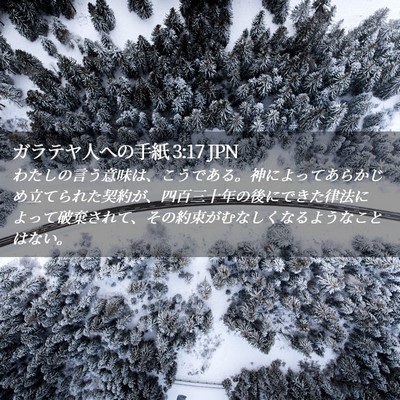 Picture 02 - ガラテヤ人への手紙 3:17 JPN - わたしの言う意味は、こうである。 - Bible Verse Picture