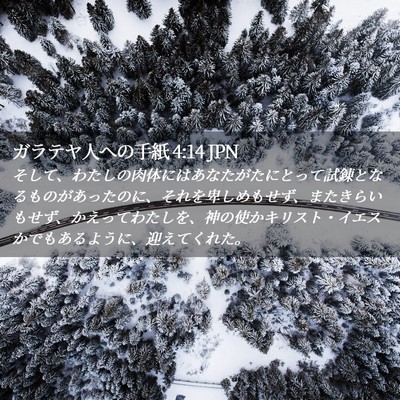 Picture 02 - ガラテヤ人への手紙 4:14 JPN - そして、わたしの肉体にはあなたが - Bible Verse Picture
