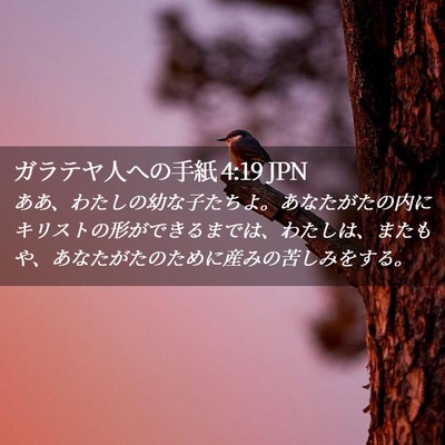 Picture 02 - ガラテヤ人への手紙 4:19 JPN - ああ、わたしの幼な子たちよ。あな - Bible Verse Picture