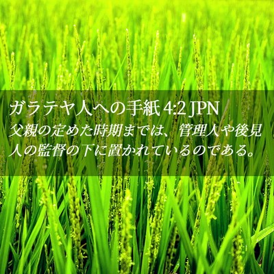 Picture 02 - ガラテヤ人への手紙 4:2 JPN - 父親の定めた時期までは、管理人や - Bible Verse Picture