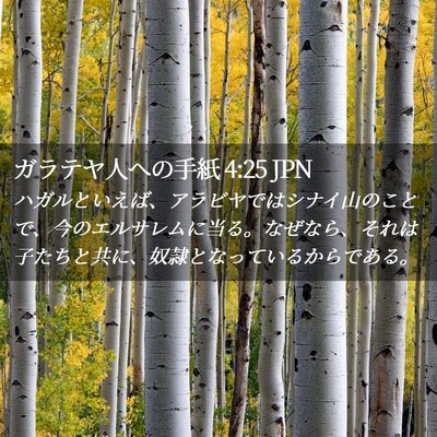 Picture 02 - ガラテヤ人への手紙 4:25 JPN - ハガルといえば、アラビヤではシナ - Bible Verse Picture