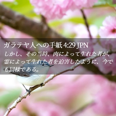 Picture 02 - ガラテヤ人への手紙 4:29 JPN - しかし、その当時、肉によって生れ - Bible Verse Picture