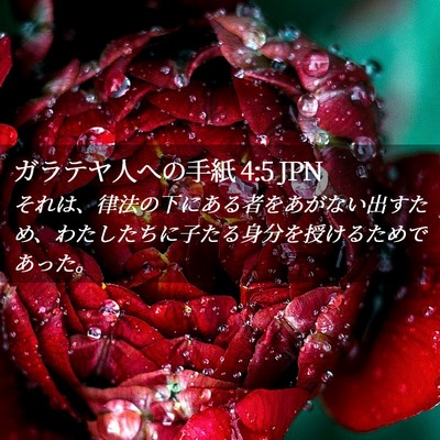 Picture 02 - ガラテヤ人への手紙 4:5 JPN - それは、律法の下にある者をあがな - Bible Verse Picture