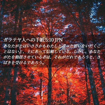 Picture 02 - ガラテヤ人への手紙 5:10 JPN - あなたがたはいささかもわたしと違 - Bible Verse Picture