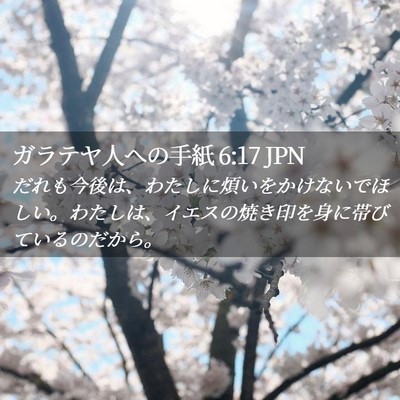 Picture 02 - ガラテヤ人への手紙 6:17 JPN - だれも今後は、わたしに煩いをかけ - Bible Verse Picture