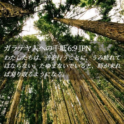 Picture 02 - ガラテヤ人への手紙 6:9 JPN - わたしたちは、善を行うことに、う - Bible Verse Picture