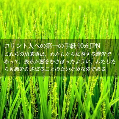 Picture 02 - コリント人への第一の手紙 10:6 JPN - これらの出来事は、わたしたちに対 - Bible Verse Picture