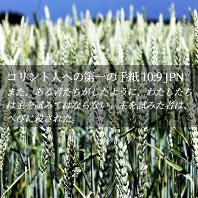 Picture 02 - コリント人への第一の手紙 10:9 JPN - また、ある者たちがしたように、わ - Bible Verse Picture
