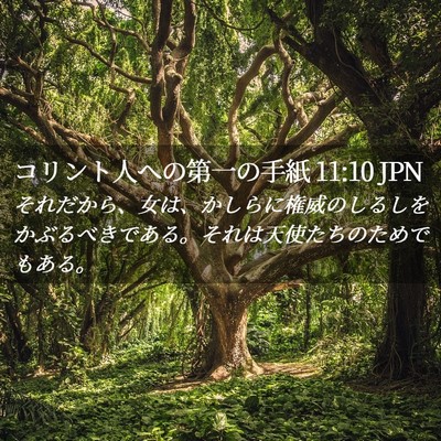 Picture 02 - コリント人への第一の手紙 11:10 JPN - それだから、女は、かしらに権威の - Bible Verse Picture