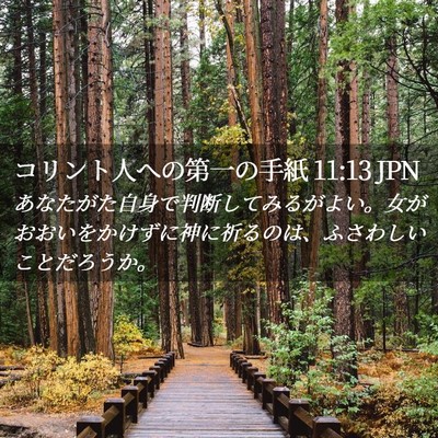 Picture 02 - コリント人への第一の手紙 11:13 JPN - あなたがた自身で判断してみるがよ - Bible Verse Picture