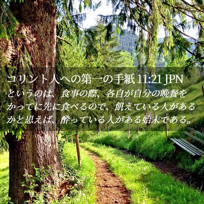 Picture 02 - コリント人への第一の手紙 11:21 JPN - というのは、食事の際、各自が自分 - Bible Verse Picture