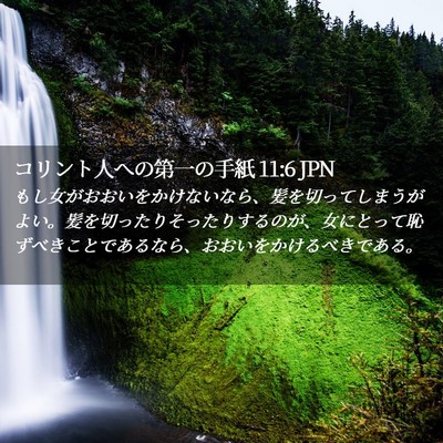 Picture 02 - コリント人への第一の手紙 11:6 JPN - もし女がおおいをかけないなら、髪 - Bible Verse Picture