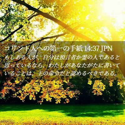 Picture 02 - コリント人への第一の手紙 14:37 JPN - もしある人が、自分は預言者か霊の - Bible Verse Picture