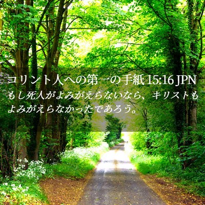 Picture 02 - コリント人への第一の手紙 15:16 JPN - もし死人がよみがえらないなら、キ - Bible Verse Picture