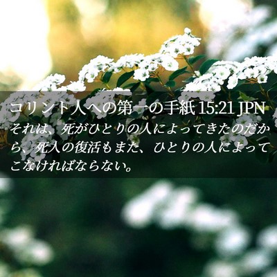 Picture 02 - コリント人への第一の手紙 15:21 JPN - それは、死がひとりの人によってき - Bible Verse Picture