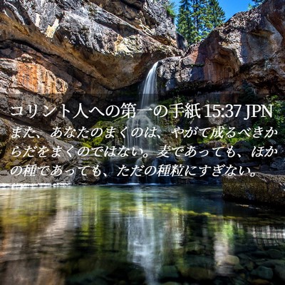 Picture 02 - コリント人への第一の手紙 15:37 JPN - また、あなたのまくのは、やがて成 - Bible Verse Picture