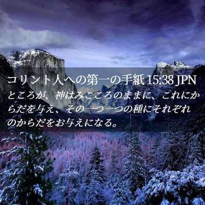 Picture 02 - コリント人への第一の手紙 15:38 JPN - ところが、神はみこころのままに、 - Bible Verse Picture