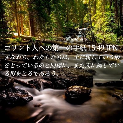 Picture 02 - コリント人への第一の手紙 15:49 JPN - すなわち、わたしたちは、土に属し - Bible Verse Picture