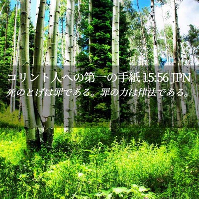 Picture 02 - コリント人への第一の手紙 15:56 JPN - 死のとげは罪である。罪の力は律法 - Bible Verse Picture