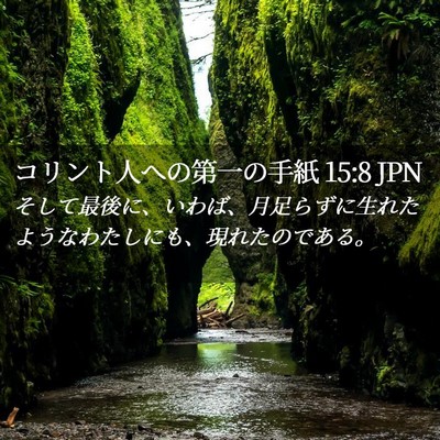 Picture 02 - コリント人への第一の手紙 15:8 JPN - そして最後に、いわば、月足らずに - Bible Verse Picture