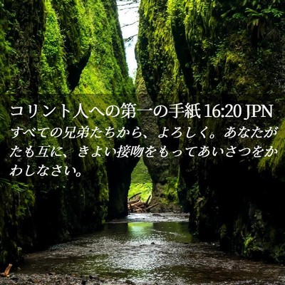 Picture 02 - コリント人への第一の手紙 16:20 JPN - すべての兄弟たちから、よろしく。 - Bible Verse Picture