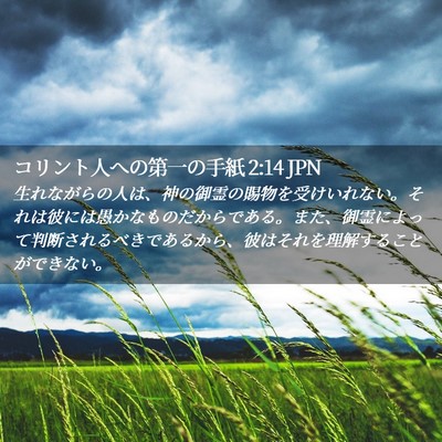Picture 02 - コリント人への第一の手紙 2:14 JPN - 生れながらの人は、神の御霊の賜物 - Bible Verse Picture
