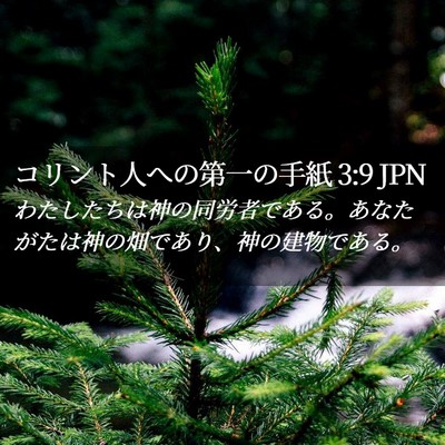 Picture 02 - コリント人への第一の手紙 3:9 JPN - わたしたちは神の同労者である。あ - Bible Verse Picture
