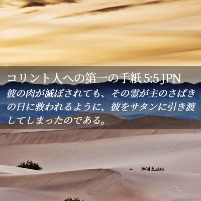 Picture 02 - コリント人への第一の手紙 5:5 JPN - 彼の肉が滅ぼされても、その霊が主 - Bible Verse Picture