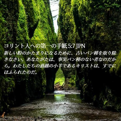 Picture 02 - コリント人への第一の手紙 5:7 JPN - 新しい粉のかたまりになるために、 - Bible Verse Picture