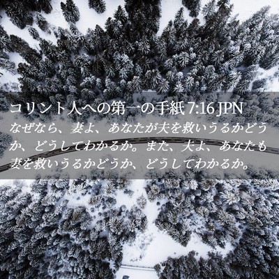 Picture 02 - コリント人への第一の手紙 7:16 JPN - なぜなら、妻よ、あなたが夫を救い - Bible Verse Picture