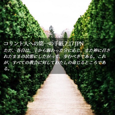 Picture 02 - コリント人への第一の手紙 7:17 JPN - ただ、各自は、主から賜わった分に - Bible Verse Picture