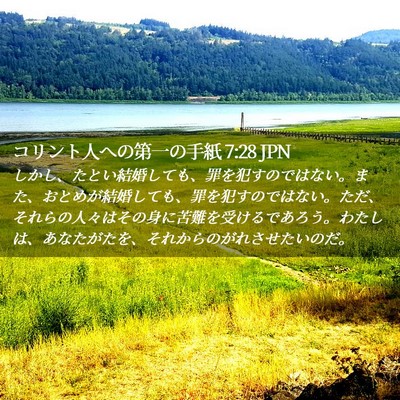 Picture 02 - コリント人への第一の手紙 7:28 JPN - しかし、たとい結婚しても、罪を犯 - Bible Verse Picture