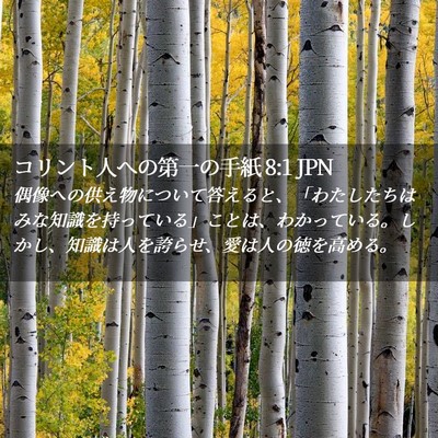 Picture 02 - コリント人への第一の手紙 8:1 JPN - 偶像への供え物について答えると、 - Bible Verse Picture
