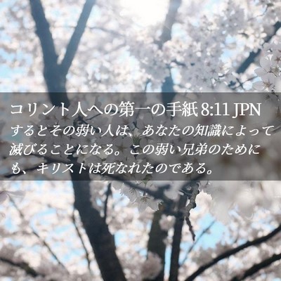 Picture 02 - コリント人への第一の手紙 8:11 JPN - するとその弱い人は、あなたの知識 - Bible Verse Picture