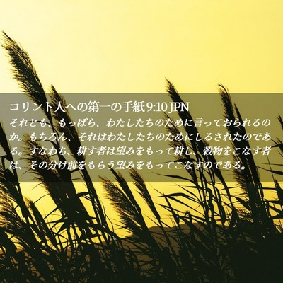 Picture 02 - コリント人への第一の手紙 9:10 JPN - それとも、もっぱら、わたしたちの - Bible Verse Picture