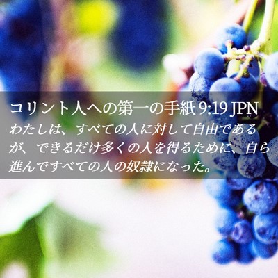 Picture 02 - コリント人への第一の手紙 9:19 JPN - わたしは、すべての人に対して自由 - Bible Verse Picture