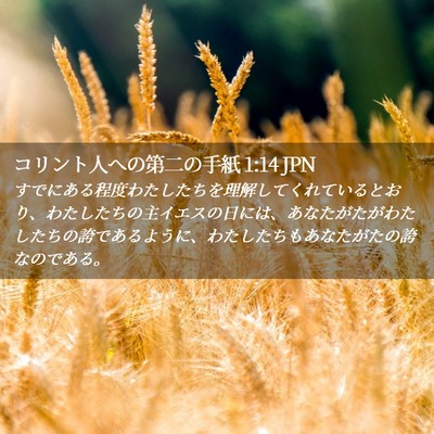 Picture 02 - コリント人への第二の手紙 1:14 JPN - すでにある程度わたしたちを理解し - Bible Verse Picture