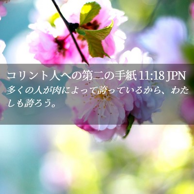 Picture 02 - コリント人への第二の手紙 11:18 JPN - 多くの人が肉によって誇っているか - Bible Verse Picture