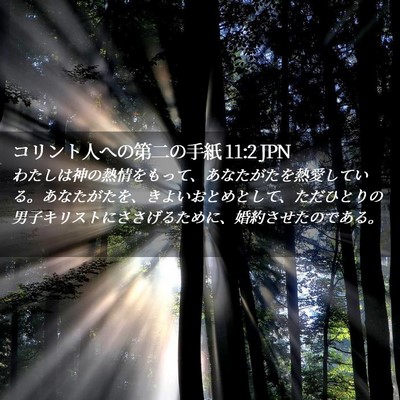 Picture 02 - コリント人への第二の手紙 11:2 JPN - わたしは神の熱情をもって、あなた - Bible Verse Picture
