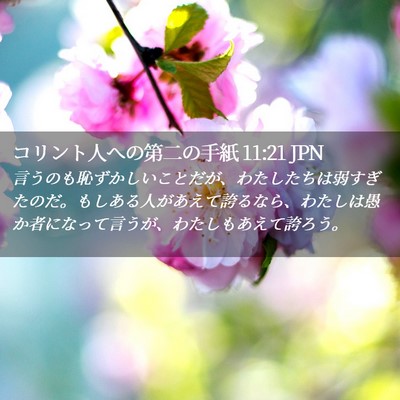 Picture 02 - コリント人への第二の手紙 11:21 JPN - 言うのも恥ずかしいことだが、わた - Bible Verse Picture