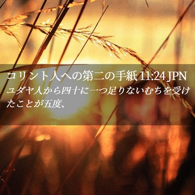 Picture 02 - コリント人への第二の手紙 11:24 JPN - ユダヤ人から四十に一つ足りないむ - Bible Verse Picture