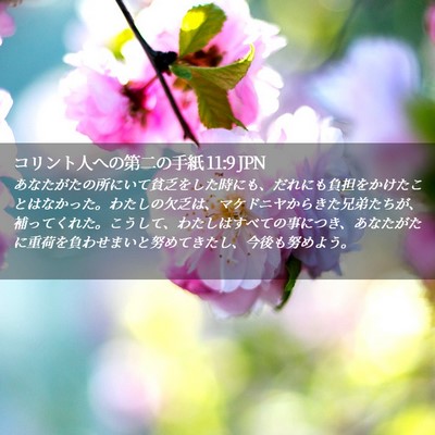 Picture 02 - コリント人への第二の手紙 11:9 JPN - あなたがたの所にいて貧乏をした時 - Bible Verse Picture