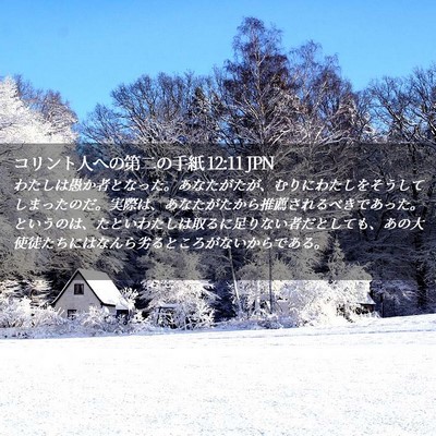 Picture 02 - コリント人への第二の手紙 12:11 JPN - わたしは愚か者となった。あなたが - Bible Verse Picture